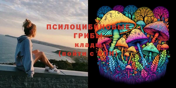 бошки Рославль