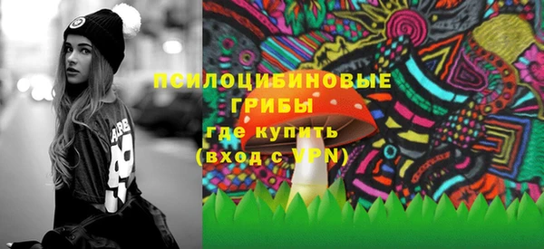 не бодяженный Арсеньев